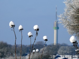 winter in Brook